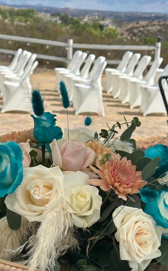 Chair and table rental, table cloths, chair covers.